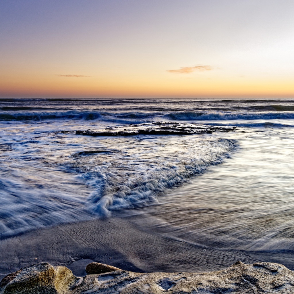 For the Love Of the Ocean