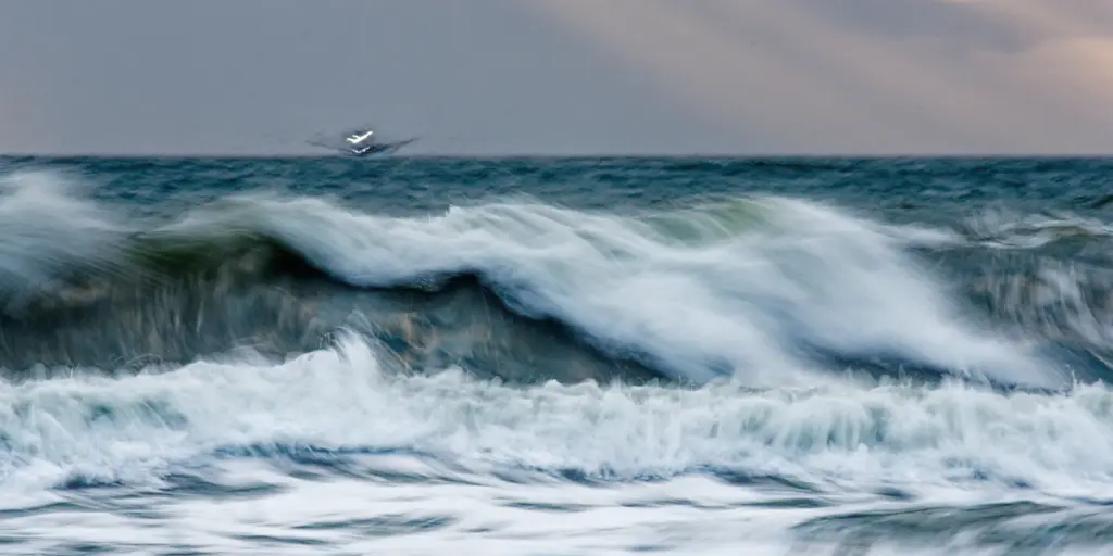 Wave & Wanderer
