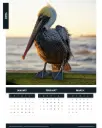 2026 Fine Art Calendar