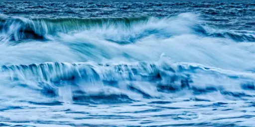 Arctic Rush in Florida
